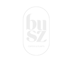 Busz