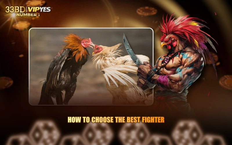 How To Choose The Best Fighter