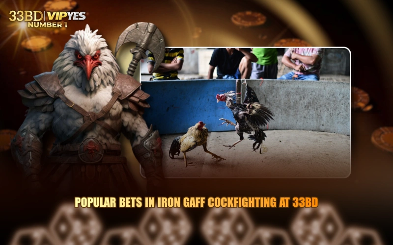 Popular Bets In Iron Gaff Cockfighting At 33BD