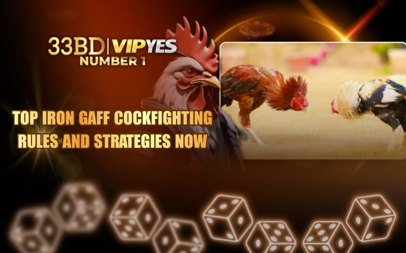 Top Iron Gaff Cockfighting Rules And Strategies Now