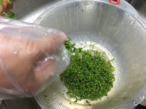 しその穂の取り方