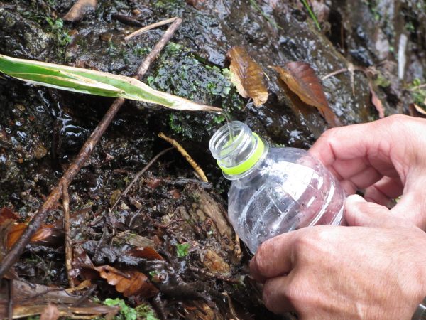 源水点の水