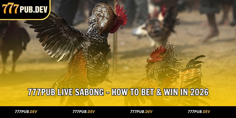 777pub live sabong