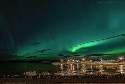 Höfn
