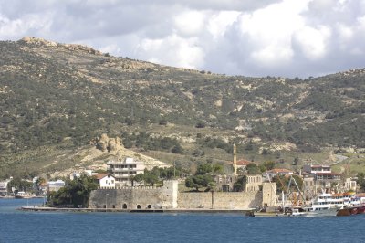 Foca 6407.jpg
