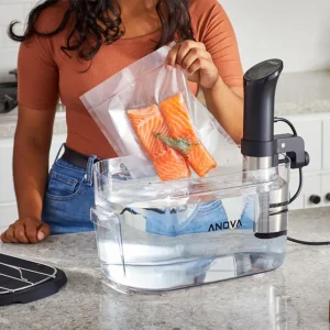 Anova precision cooker