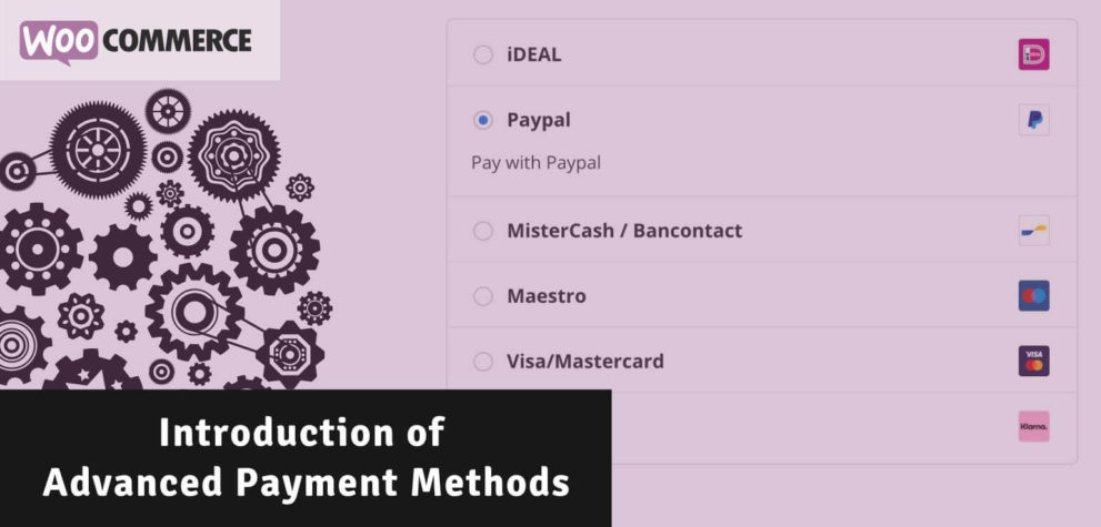 Introduction to Advanced Payment Methods for WooCommerce