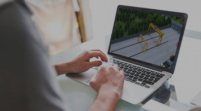 Customized Crane Design