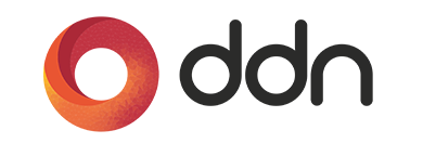 ddn artificial storage server online nvidia PNY Europe middle east