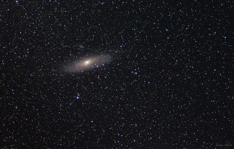 Andromeda Galaxy All about the Andromeda galaxy Clusters Nebulae Galaxies EarthSky