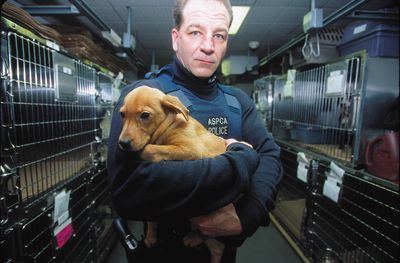 Animal Precinct Animal Precinct Programs Animal Planet Discovery Press Web