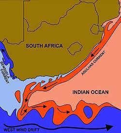 Benguela Current Benguela Current Wikipedia