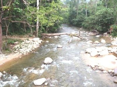 Bernam River wwwseaseekcomimagesx11224Bernam2jpg