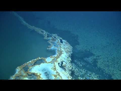 Brine pool Discovering a Brine Pool Nautilus Live YouTube