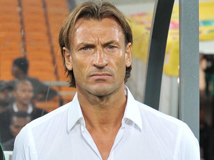 Herve Renard wwwaitonlinetvpixNewsImages3175jpg