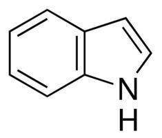 Indole wwwsigmaaldrichcomcontentdamsigmaaldrichstr