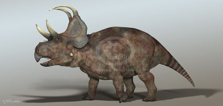 Machairoceratops machairoceratops DeviantArt