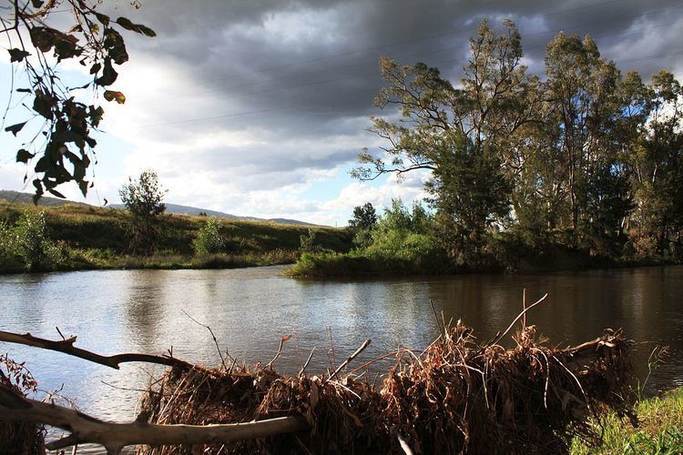 Manilla River