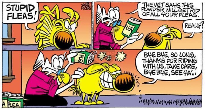 Mother Goose and Grimm Mother Goose and Grimm Cure Comics And Cartoons The Cartoonist Group