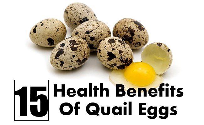Quail eggs 15 Magnificent Health Benefits Of Quail Eggs Find Home Remedy