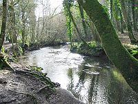 River Lemon httpsuploadwikimediaorgwikipediacommonsthu