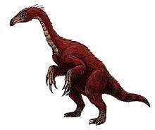 Segnosaurus httpsuploadwikimediaorgwikipediacommonsthu