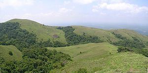 Shola httpsuploadwikimediaorgwikipediacommonsthu