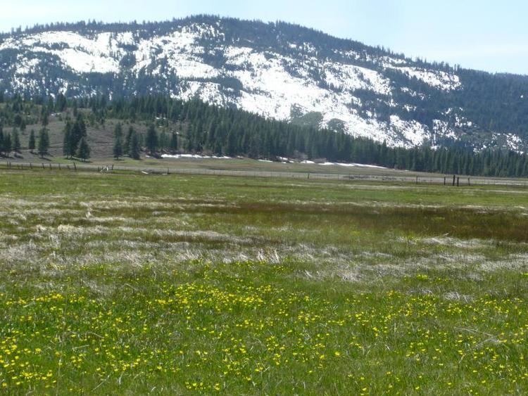 Sierra Valley Sierra Valley Resource Conservation District SVRCD Board of Directors