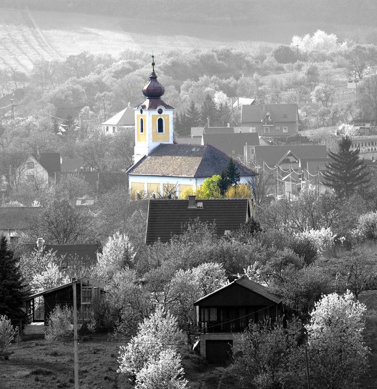 Szokolya wwwborzsonybarokkhuarchiv2007imgpicshelyszi