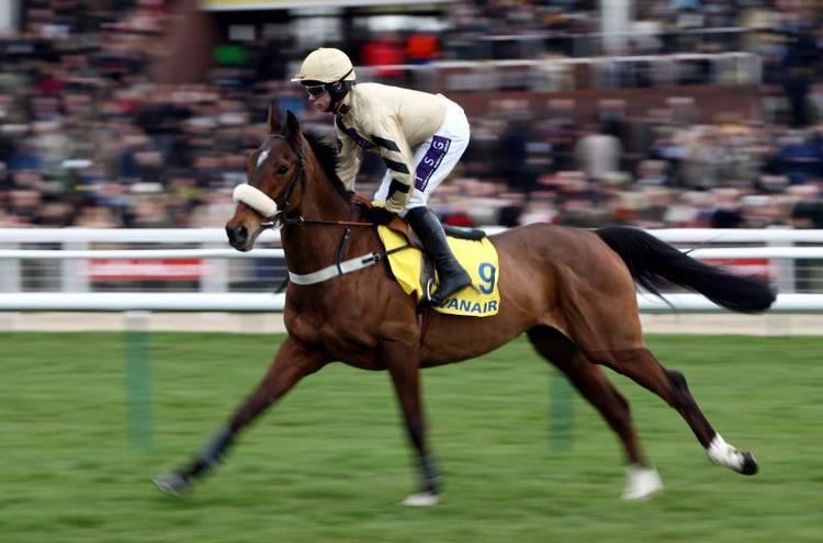 Tidal Bay Injury Forces Tidal Bay Out Of The Grand National Stableexpress