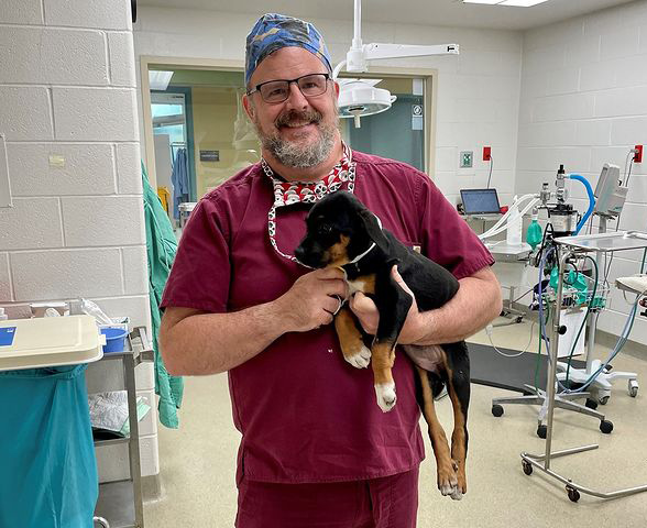 St. Louis Spay & Neuter