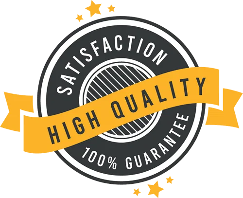 Ananyoo Theme Satisfaction Guarantee