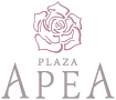 PLAZA APEA