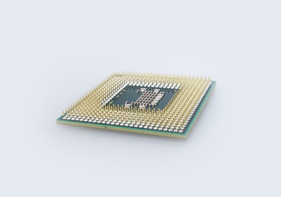 Microchip