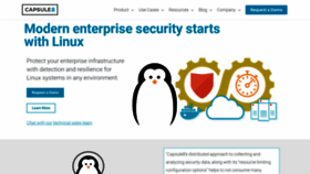 What Capsule8.com website looked like in 2020 (5 years ago)