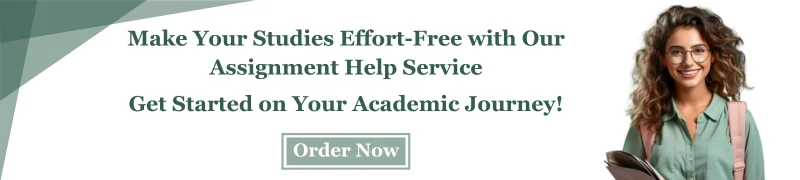 Assignment Help Service