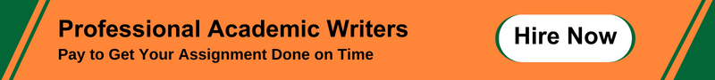 Professional Academic Writers