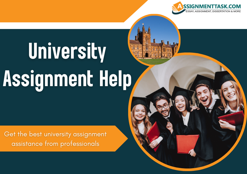 University Assignment Help