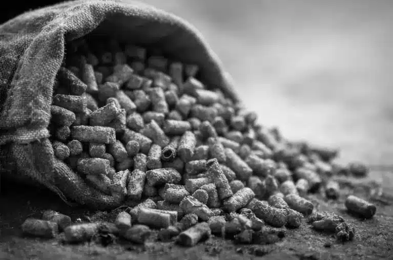 Pellet