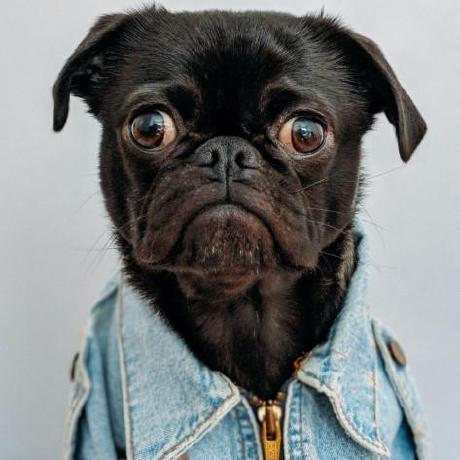 Contributor Denyme24