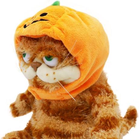 Contributor MinetestPumpkin