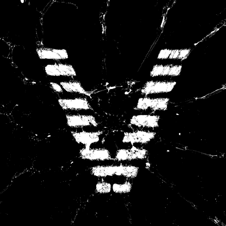 vectorz3r0's GitHub avatar