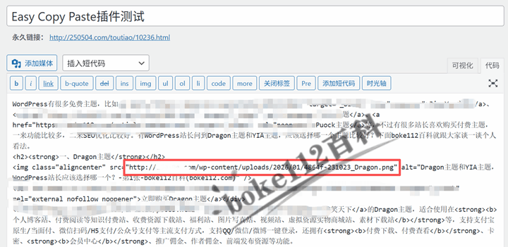 WordPress编辑文章时粘贴图片自动保存本地的插件Easy Copy Paste-第3张-boke112百科(boke112.com)