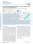 Cosolute effects on p-nitrophenyl phosphate hydrolysis catalyzed by calf intestinal alkaline phosphatase