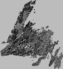 Replication Data for: Mapping and modelling a boreal forest soil organic carbon predictor in the glacial till of Newfoundland, Canada