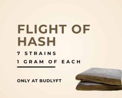 Flight of Hash
