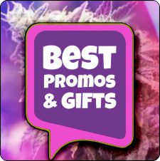 Best promotions, gifts, and coupons