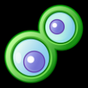 Camfrog Video Chat