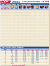 Application Advisor for Caps