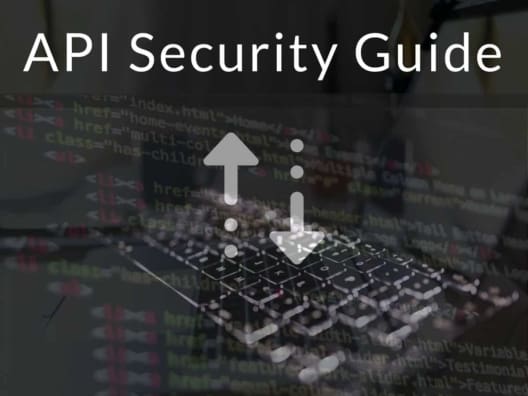 API Security Guide
